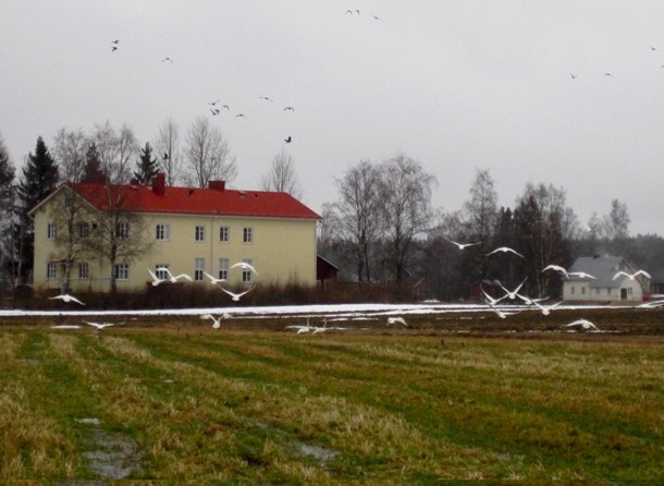 kevätkuva kevätkuva