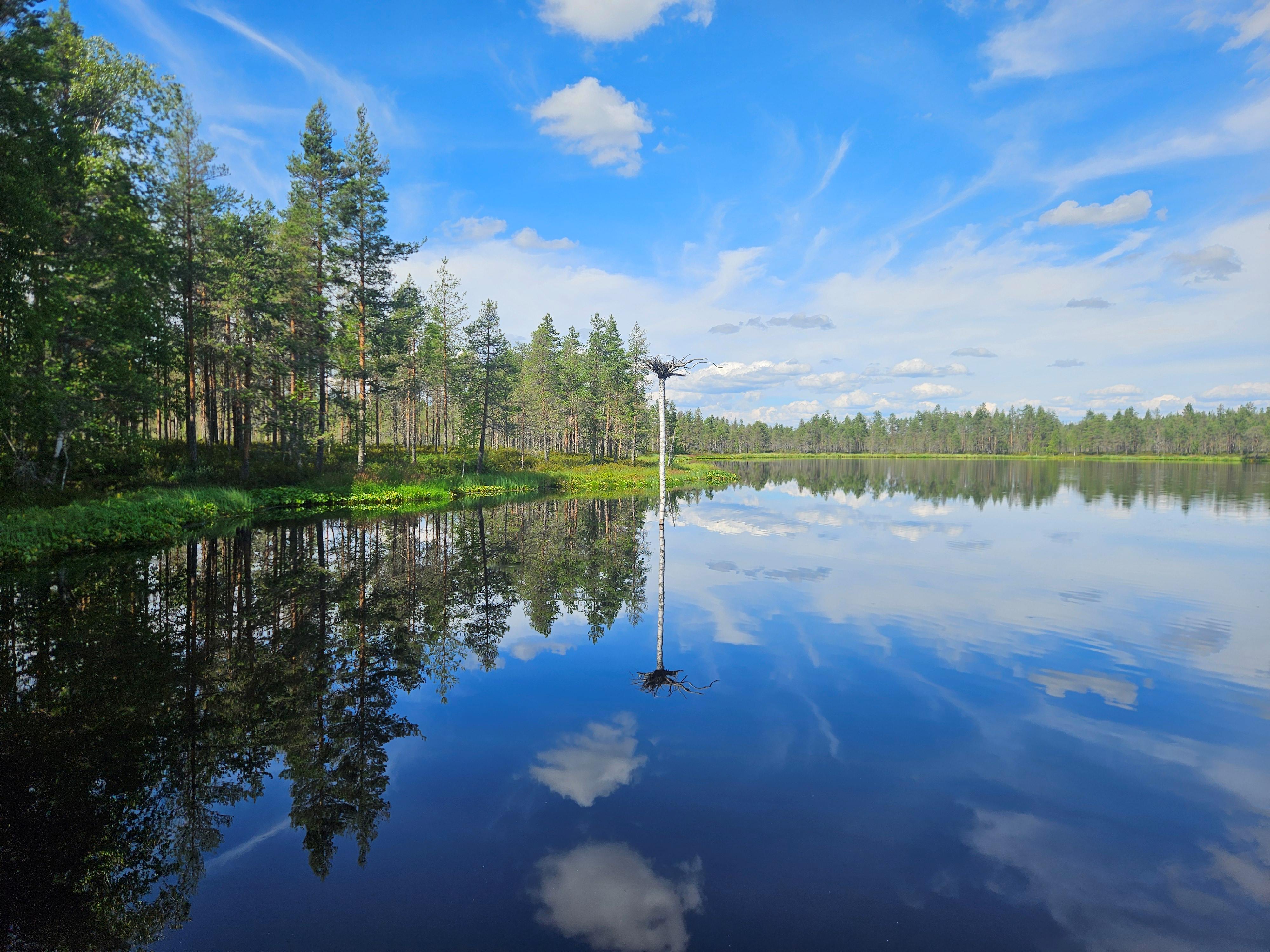 Rohkeasti yhdessä - Alavus kuvina_Yhteinen luonto_Marko Eriksson.