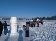 Talvipuuhaa Alavudenjärvellä