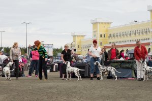 Miljoona Koira 2023 -tapahtuma Tuurin Kyläkaupalla 10.-11.6.2023