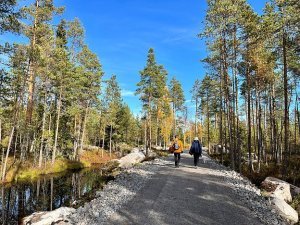 Alavuden Seudun Sydänyhdistyksen sydänviikon patikointiretki torstaina 16.5.2024 klo 14.00 Tuurin Teeren kieppi -reitille.