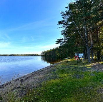 Liesjärven ranta