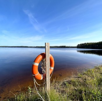 Iso liesjärven ranta.